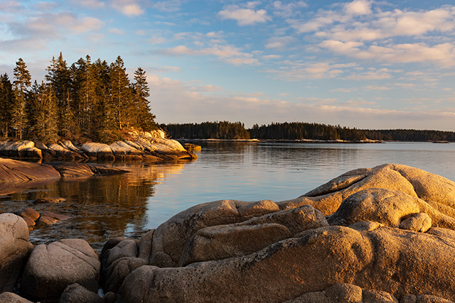 Sony A7 IV Review: Field Test -- Gallery Image