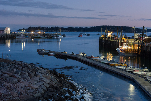 Sony A7 IV Review: Field Test -- Gallery Image