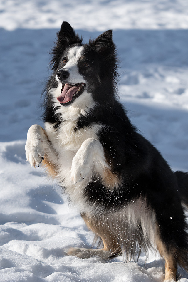 Sony A7 IV Review: Field Test -- Gallery Image