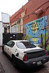 Click to see YDSC00043.JPG