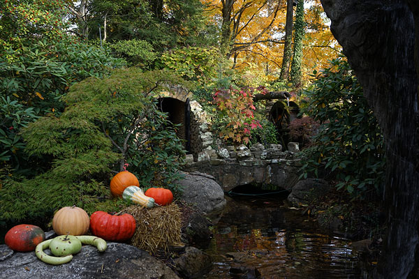 Sony A7 review -- Sample photo