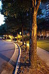 Click to see YDSC01925-NORM.JPG