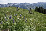 Click to see Y_DSC1057.JPG