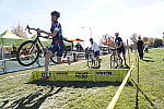 Click to see Y_DSC1296.JPG