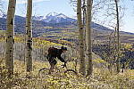 Click to see Y_DSC6693.JPG