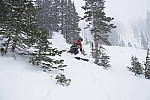 Click to see Y_DSC7361.JPG