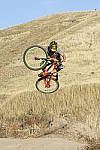 Click to see Y_DSC7413.JPG
