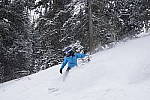 Click to see Y_DSC7582.JPG