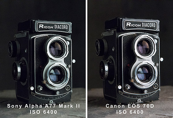 Sony A77 II Review -- Field Test