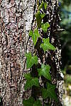 Click to see Y-WB-DSC00634.JPG