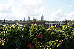 Click to see Y-WB-DSC00768.JPG