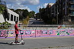 Click to see Y-WB-DSC00773.JPG