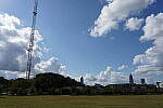 Click to see Y-WB-DSC00812.JPG