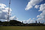 Click to see Y-WB-DSC00813.JPG