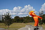 Click to see Y-WB-DSC00848.JPG