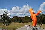 Click to see Y-WB-DSC00849.JPG