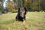 Click to see Y-WB-DSC00908.JPG