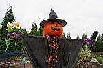 Click to see Y-WB-DSC00936.JPG