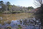 Click to see Y-WB-SonyPrimes-DSC00012-24mm-f2.8.JPG