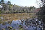 Click to see Y-WB-SonyPrimes-DSC00013-24mm-f5.6.JPG