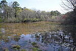 Click to see Y-WB-SonyPrimes-DSC00014-24mm-f8.0.JPG