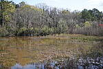 Click to see Y-WB-SonyPrimes-DSC00015-40mm-f2.5.JPG