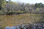 Click to see Y-WB-SonyPrimes-DSC00016-40mm-f5.6.JPG