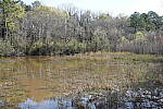 Click to see Y-WB-SonyPrimes-DSC00017-40mm-f8.0.JPG