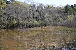 Click to see Y-WB-SonyPrimes-DSC00018-50mm-f2.5.JPG