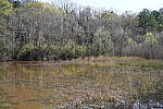 Click to see Y-WB-SonyPrimes-DSC00019-50mm-f5.6.JPG