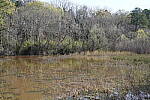 Click to see Y-WB-SonyPrimes-DSC00020-50mm-f8.0.JPG