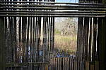 Click to see Y-WB-SonyPrimes-DSC00062-24mm-f2.8.JPG