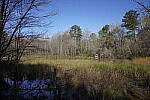 Click to see Y-WB-SonyPrimes-DSC00064-24mm-f2.8.JPG