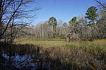 Click to see Y-WB-SonyPrimes-DSC00065-24mm-f8.0.JPG