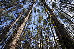 Click to see Y-WB-SonyPrimes-DSC00068-24mm-f2.8.JPG