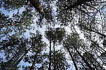 Click to see Y-WB-SonyPrimes-DSC00077-40mm-f5.6.JPG