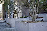 Click to see Y-WB-SonyPrimes-DSC00236-40mm-f2.5.JPG