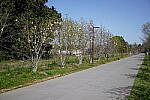 Click to see Y-WB-SonyPrimes-DSC00355-50mm-f2.5.JPG
