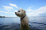 Click to see Y-16-35GM-DSC00472-RawConvert.JPG