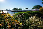 Click to see Y-16-35GM-DSC01046.JPG