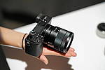 Click to see Y-A-85mm-0056.JPG