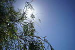 Click to see Y-JS-A7RII-DSC01319-16-35GM.JPG
