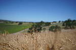 Click to see Y-JS-A7RII-DSC01334-16-35GM.JPG