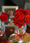 Click to see YA-100mm-1757-EDT.JPG