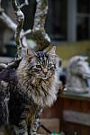 Click to see YA-100mm-1769.JPG