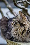 Click to see YA-100mm-1772.JPG