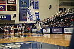 Click to see Y_DSC00104-Meta-burst.JPG
