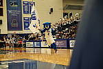 Click to see Y_DSC00106-Meta-burst.JPG