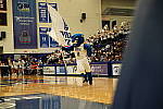 Click to see Y_DSC00107-Meta-burst.JPG