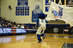 Click to see Y_DSC00111-Meta-burst.JPG
